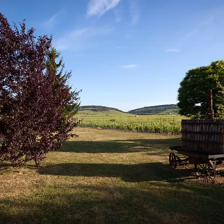 Kyriad Prestige Le Panorama Hotel