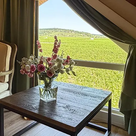 Kyriad Prestige Le Panorama 3* Beaune (Cote d'Or)