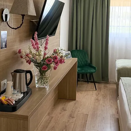 Kyriad Prestige Le Panorama Hotel 3*