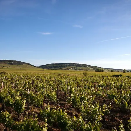 Kyriad Prestige Le Panorama Hotel