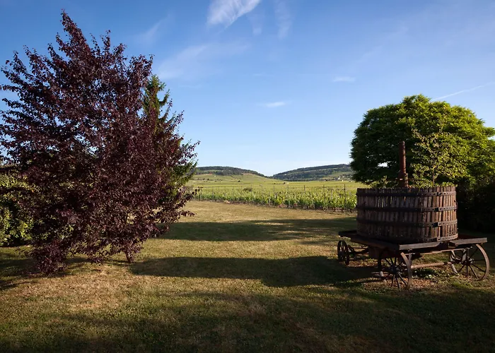 Kyriad Prestige Le Panorama Hotel