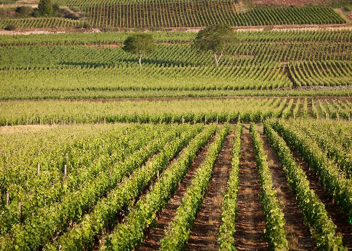 Hotel Kyriad Prestige Le Panorama Beaune (Cote d'Or)