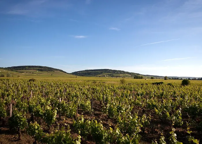 Kyriad Prestige Le Panorama Hotel